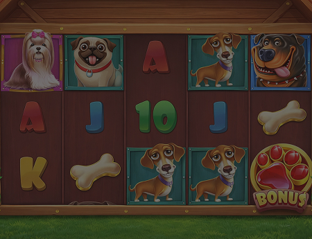 The Dog House